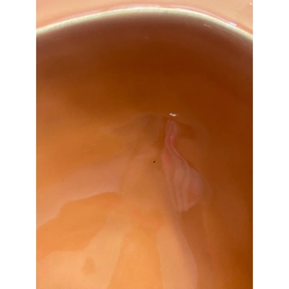 Pottery Barn Orange Serving Bowl Handcrafted in Portugal Ceramic Stoneware Large